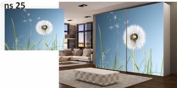 НАКЛЕЙКА на ДВЕРЬ ГАРДЕРОБА Мебель Шпон ИНДИВИДУАЛЬНЫЙ РАЗМЕР