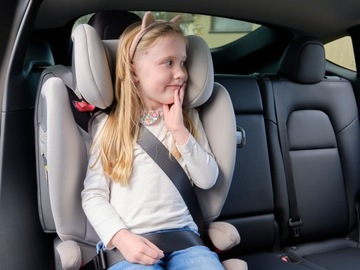 КОВРИК ДЛЯ СИДЕНЬЯ, чехол и защита для бренда TESLA PRINCE LIONHEART