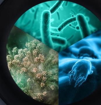 Комплект стиральная + сушильная машина Samsung, загрузка 8/8 кг.