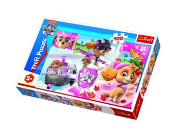 Пазл 100 деталей. Скай в действии