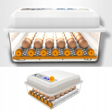 Инкубатор на 24 яйца, полностью автоматический выводной шкаф