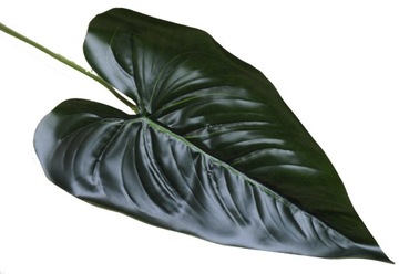 КАЛЛИ ЛИСТ, ЗЕЛЕНЫЙ, ИСКУССТВЕННЫЙ, ВОСКОВЫЙ, 50 см