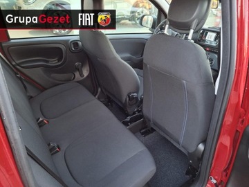 Fiat Panda III 2025 Fiat Panda Pandina Icon 1.0 70 KM 5-miejscowa, zdjęcie 11
