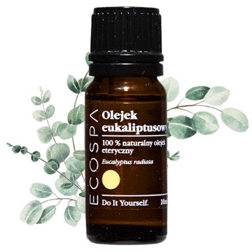 NATURALNY OLEJEK ETERYCZNY EUKALIPTUSOWY 10 ML AROMATERAPIA ECOSPA