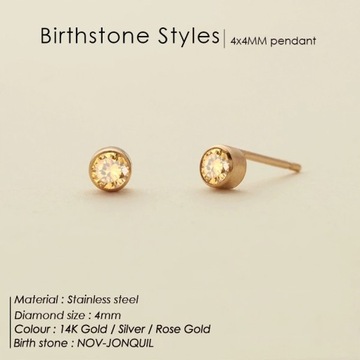 eManco 316 Stainless Steel Birthstone Ear St