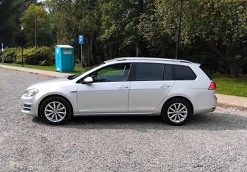 Volkswagen Golf VII Variant 1.6 TDI BlueMotion  110KM 2015 Volkswagen Golf 1,6 Tdi Navi Alufelgi Klimatronik Po oplatach z Niemi, zdjęcie 2