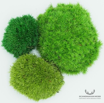 Подушка Мосс Светло-Зеленый, коробка 200г НЕТТО