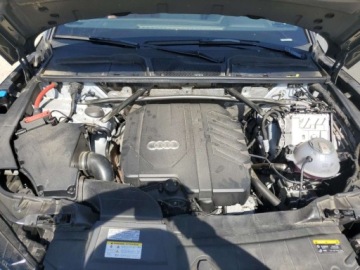 Audi 2024 Audi Q5 Sportback Premium Plus 45 2024 2.0l 2.0 Benzyna 261KM, zdjęcie 6