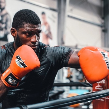 Классические перчатки StormCloud Blizzard для тайского бокса, 12 унций