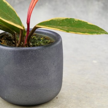 Бетонное покрытие Ø6см от Польского металлургического завода, покрытое лаком.