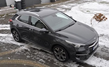 Kia XCeed Crossover 1.5 T-GDI 160KM 2021 Kia XCeed KIA XCeed 1,5 T-GDI 160KM 102021R OPF Oryginal Fa 23 1.5, zdjęcie 1