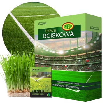 TRAWA NASIONA SPORTOWA ODPORNA NA WYMARZANIE NA MURAWĘ 1KG