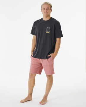 Шорты Rip Curl 2023 Swc Rails Volley DstRos L