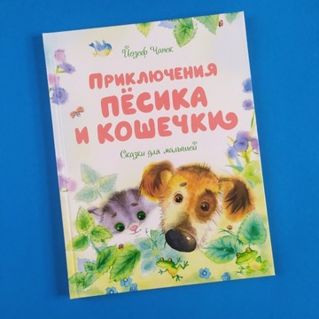 Przygody psa i kotka