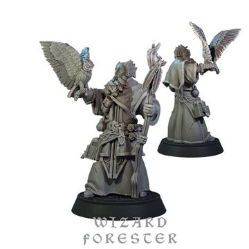 Wizard Wanderer RPG DnD Pathfinder
