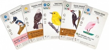 Настольная игра Na Skrzydłach / Размах крыльев