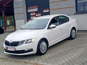 Skoda Octavia 2017 Škoda Octavia Skoda Octavia krajowa