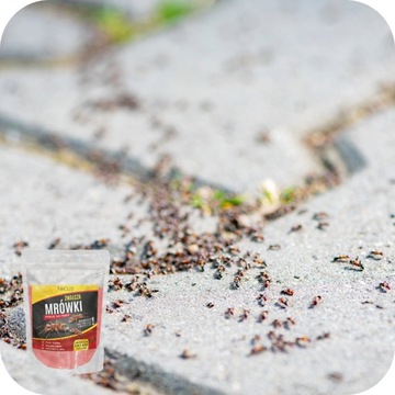 МУРАВЬЕВЫЙ ПОРОШОК СРЕДСТВЕННЫЙ ПРИГОТОВЛЕНИЕ ЯД МУРАВЬИНЫЕ ГНЕЗДА 1кг Фокус ГРАНУЛЯТ