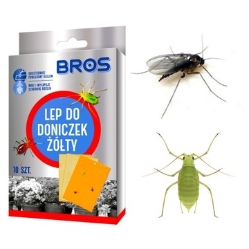 ŻÓŁTY LEP DO DONICZEK NA ZIEMIÓRKI MSZYCE SZKODNIKI OBUSTRONNE BROS 10 SZT