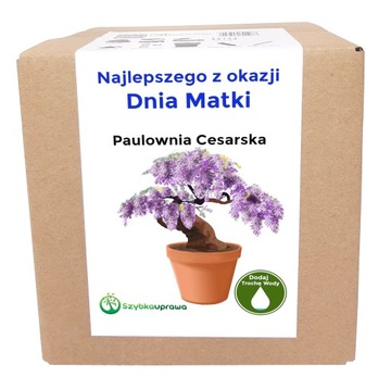 PREZENT NA DZIEŃ MATKI ZESTAW DO UPRAWY PAULOWNIA