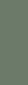 Nightwish green 25x75 Paradyż - glazura