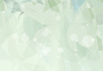 ПЕРО ЦВЕТЫ ФОТО ОБОИ 350x256 f-C-0490-a-a