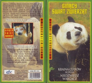 KRAINA CUDÓW NIEDŹWIEDŹ WARGACZ NOWA KASETA VIDEO