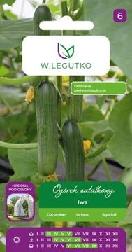 Ogórek Szklarniowy Iwa 1 g Legutko