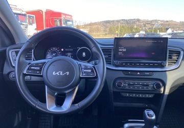 Kia XCeed Crossover Facelifting 1.5 T-GDi 160KM 2023 Kia XCeed Zakup Zdalny KIA XCEED 1.5 T-GDI 160KM Business Line 1.5 160KM, zdjęcie 12