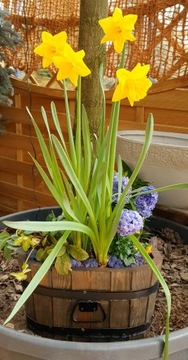 ЦВЕТНИК САДОВЫЙ ЦВЕТОЧНЫЙ ГОРШОК ДЕРЕВЯННЫЙ ГОРШОК D40