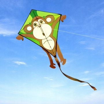 Phoenix Easy to Fly Large для детей и взрослых с