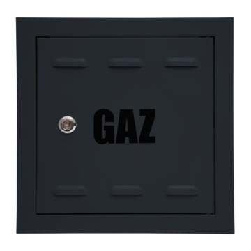 DRZWICZKI GAZOWE ANTRACYT MATOWE 20x25