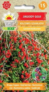 Kolcowój szkarłatny Jagody Goji Nasiona 0,1g