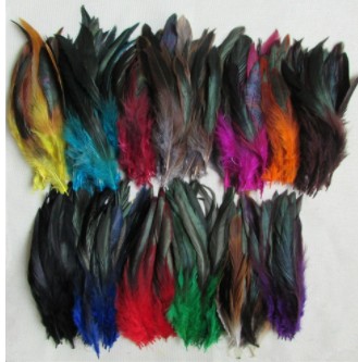 10 sztuk pióra bażant 12-20cm FARBOWANE NATURALNE