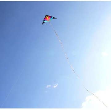 siedmiokolorowe kwiaty kitesurfingświeżym zabawki, tkanina, 3 lata