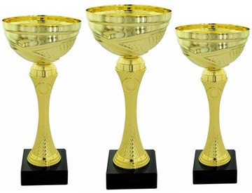 Komplet zestaw pucharów nagroda 23-25,5 cm +NADRUK