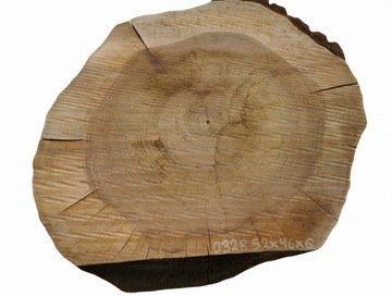 Plaster Orzecha Włoskiego 52x46 Duży Wybór Tarcica