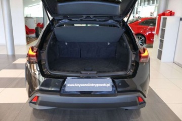 Lexus UX 2021 Lexus UX 250h GPF Business Edition AWD 2.0 Hybryda 152KM, zdjęcie 10