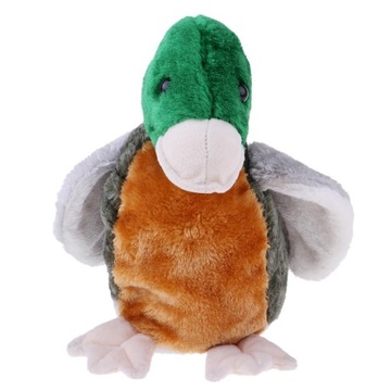 Головной убор, водитель, птица