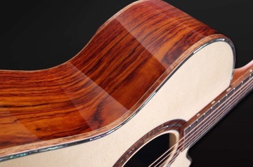 Furch Red Deluxe Gc-LC LR Baggs SPA + ЧЕХОЛ