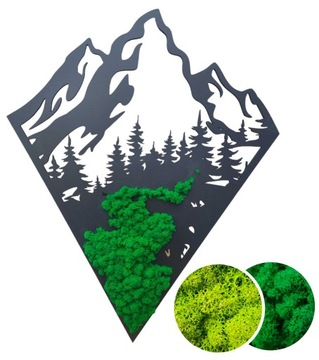 Obraz z mchem chrobotkiem GÓRY 70cm mech chrobotek górski pejzaż żywy obraz