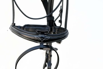 АНАТОМИЧЕСКИЙ ПРОФИЛЬНЫЙ БРИТЛ + РАЗМЕР ПОВОДА. ПОЛНЫЙ