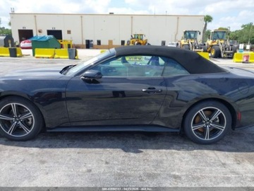 Ford Mustang VI 2024 Ford Mustang Ecoboost Premium 2024 2.3l 2.3 Benzyna 315KM, zdjęcie 2