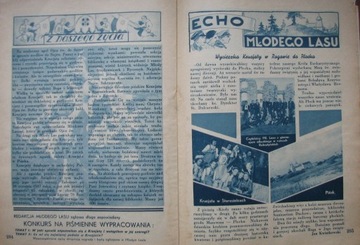 МОЛОДОЙ ФОРЕСТ, май 1939 года.