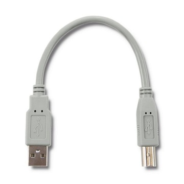 Qoltec USB 2.0 Кабель-папа | Б мужской | 0,19 м