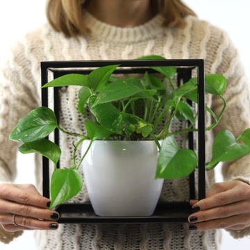 Półka Wisząca Metalowa Kwietnik 24/24/24cm LOFT