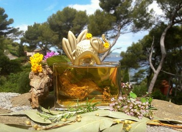 Kenzo Jungle L'Elephant парфюмированная вода для женщин 100 мл