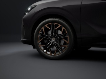 Cupra Terramar 2026 Cupra Terramar Advantage Edition 2.0 TSI 204 KM, zdjęcie 4