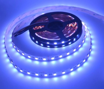 TAŚMA LED PREMIUM RGBW + NW 4in1 5050 IP20 24V 1m