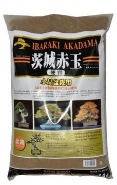 AKADAMA - ZIEMIA DO BONSAI
